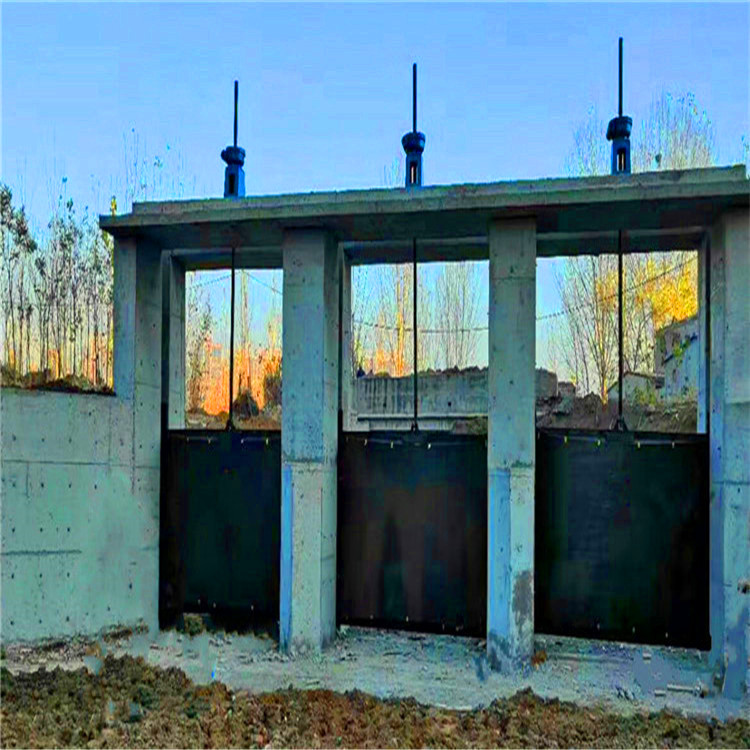 �T�F�l�T�ݗU���]�C(j��)